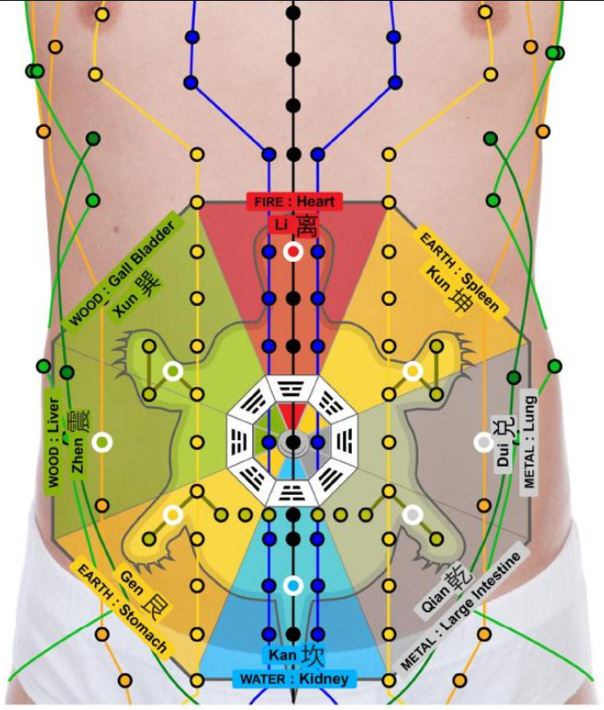 Abdominal and navel training